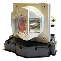 ACER DWX0714 Lampe mit Modul