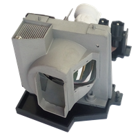ACER EC.J4301.001 Lampe mit Modul