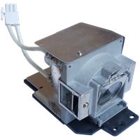 ACER EC.K1300.001 Lampe mit Modul