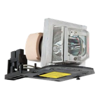 ACER EY.JBU01.039 Lampe mit Modul
