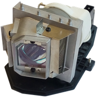 ACER MC.JG511.001 Lampe mit Modul