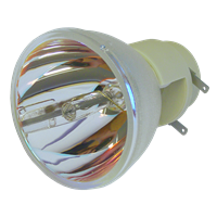 ACER P5200 Lampe ohne Modul