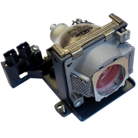 BENQ 59.J8401.CG1 Lampe mit Modul