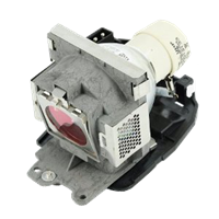 BENQ 5J.08G01.001 Lampe mit Modul