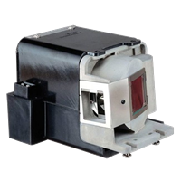 BENQ 5J.J0605.001 Lampe mit Modul