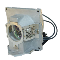 BENQ 5J.J2D05.001 Lampe mit Modul
