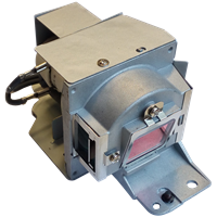 BENQ 5J.J6D05.001 Lampe mit Modul