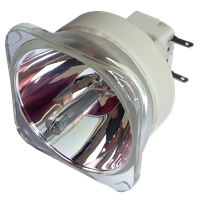 BENQ 5J.J8805.001 Lampe ohne Modul