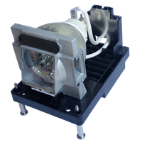 EIKI EIP-UHS100 Lampe mit Modul
