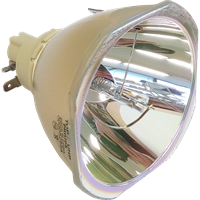 EPSON EB-Z10005U (portrait) Lampe ohne Modul