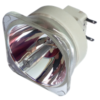 HITACHI DT01171 (CPX5021NLAMP) Lampe ohne Modul
