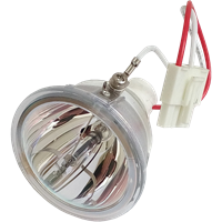 INFOCUS SP-LAMP-025 Lampe ohne Modul