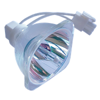 INFOCUS SP-LAMP-062 Lampe ohne Modul