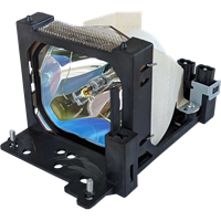 LIESEGANG DV 4102 Lampe mit Modul