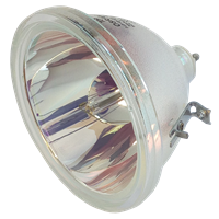 MITSUBISHI VS-XL20 (dual lamp projector) Lampe ohne Modul