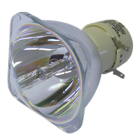 NEC M402W Lampe ohne Modul