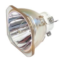NEC PA571U Lampe ohne Modul