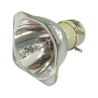 NEC VE303G Lampe ohne Modul