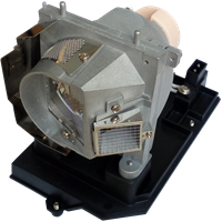 OPTOMA DAEWLTUUT Lampe mit Modul