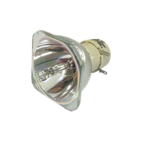 OPTOMA DH401 Lampe ohne Modul