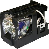 OPTOMA EP715H Lampe mit Modul