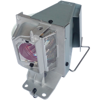 OPTOMA SP.7D1R1GR01 (BL-FP195D) Lampe mit Modul