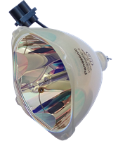 PANASONIC PT-DX610ELSJ Lampe ohne Modul