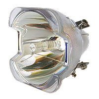 PANASONIC PT-DZ21K2EJ Lampe ohne Modul