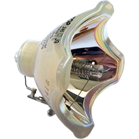 PHILIPS-UHP 200/150W 1.0 P19.5 Lampe ohne Modul