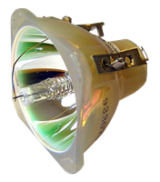 PHILIPS-UHP 220/170W 1.0 E19 Lampe ohne Modul