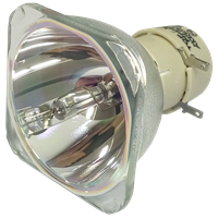 PHILIPS-UHP 260/220W 1.0 E20.9 Lampe ohne Modul