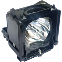 SAMSUNG HL-S6167WX/XAA Lampe mit Modul