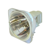 SANYO PDG-DSU21 Lampe ohne Modul