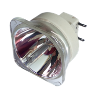 SANYO PLC-WU3001 Lampe ohne Modul