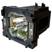 SANYO PLC-XP1000CL Lampe mit Modul