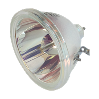 SYNELEC LMU 800 Lampe ohne Modul