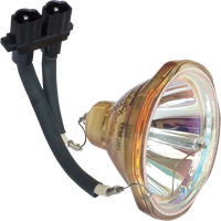 VIEWSONIC RLC-008 Lampe ohne Modul