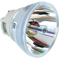 VIEWSONIC RLC-126 Lampe ohne Modul