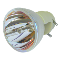 VIVITEK DH385ST Lampe ohne Modul